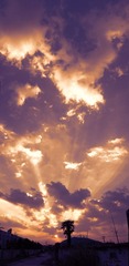 IMG_3692p2