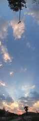 IMG_3699p