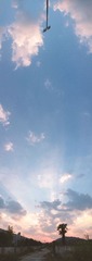 IMG_3701p