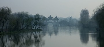 YANG2689