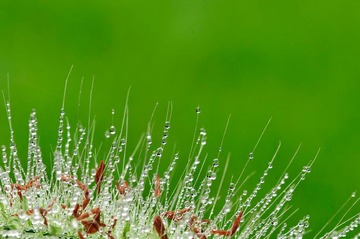 _DSC6490