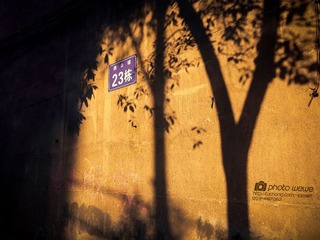 IMG_20140310_1715