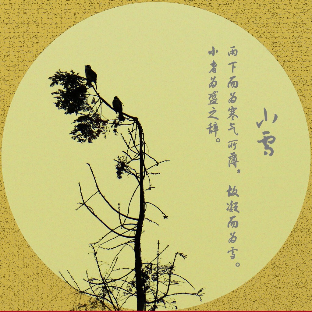 小雪那天拍的,可惜我这里不下雪。
