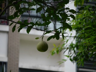37C4C7F8-F672-4D99-8551-82C7B26905A6/L0/001