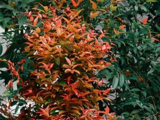 B59370D1-48F1-417C-9EC9-F28847583F9E/L0/001