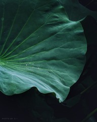 935735
