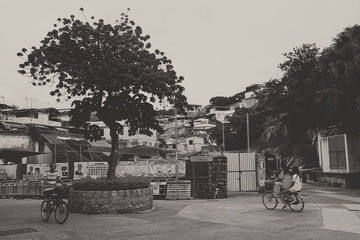 长洲行记
