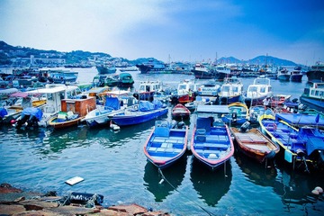 IMG_3336.jpg