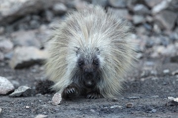 IMG_3978.jpg