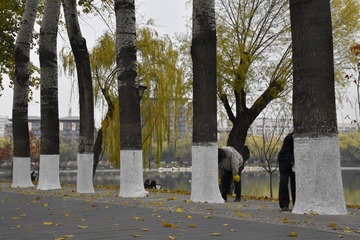 随拍