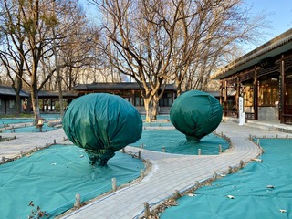 养鸟之人