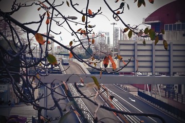 随拍