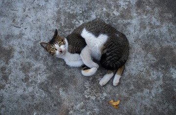 _DSC9505_conew1