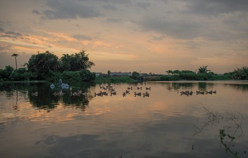 _DSC1689_conew1