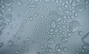 _DSC6229_conew1
