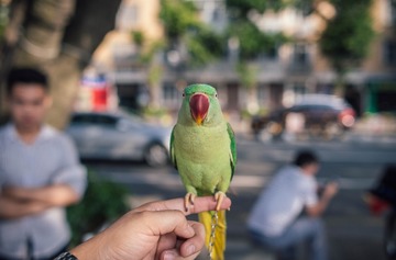 _DSC0477_conew1