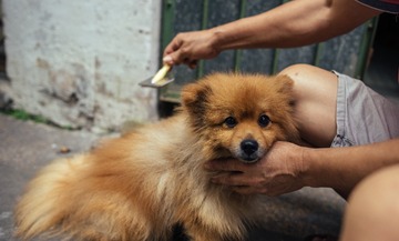 _DSC0186_conew1