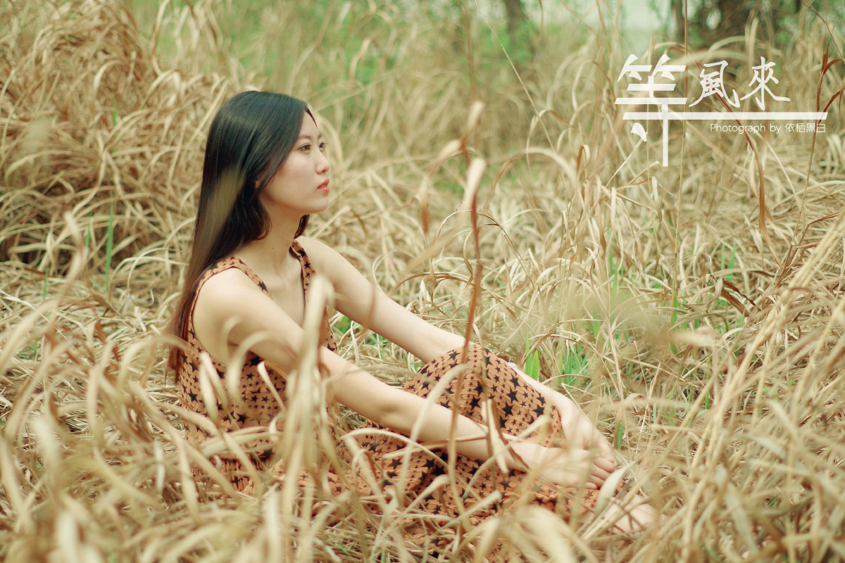 等一阵风,穿过芦苇和蒿草,吹起我的发丝和裙摆,然后带着我的灵魂飘走