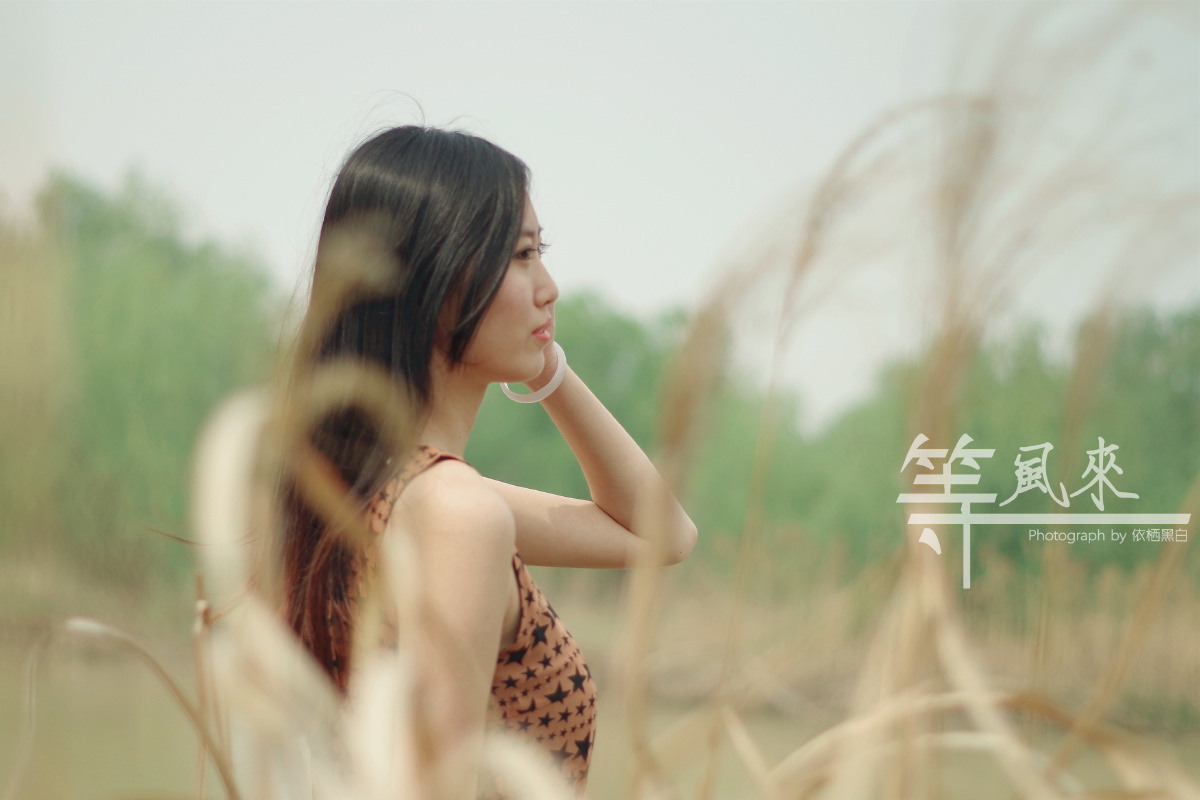 等一阵风,穿过芦苇和蒿草,吹起我的发丝和裙摆,然后带着我的灵魂飘走