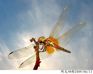 30-IMG_1074