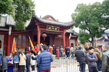 17-DSC01125