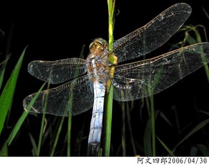 23-IMG_0055