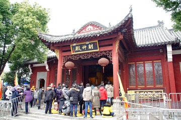 17-DSC01126