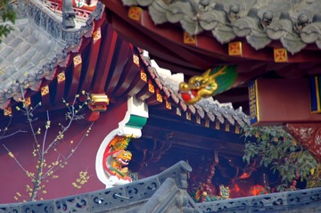 16-DSC00011
