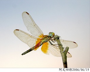 27-IMG_0012