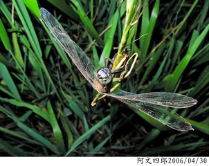 23-IMG_0049