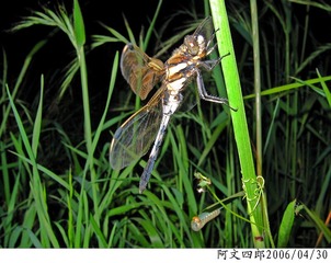 23-IMG_0026