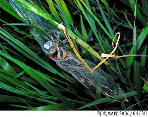 23-IMG_0059