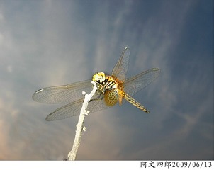 30-IMG_1063