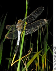 23-IMG_0058