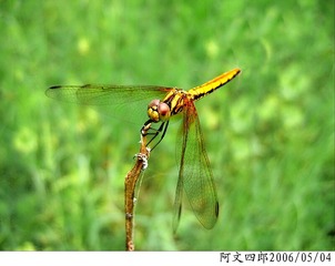 24-IMG_0007