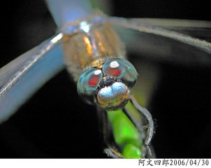 23-IMG_0077