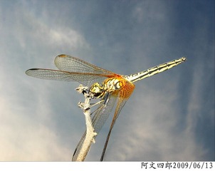 30-IMG_1067
