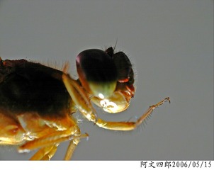 26-IMG_0056