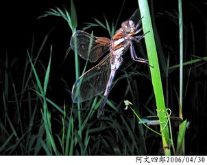 23-IMG_0030