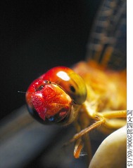 26-IMG_0114