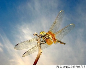 30-IMG_1075