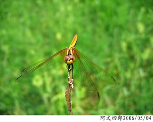 24-IMG_0002