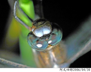 23-IMG_0076