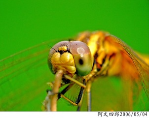 24-IMG_0107