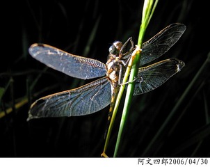 23-IMG_0064