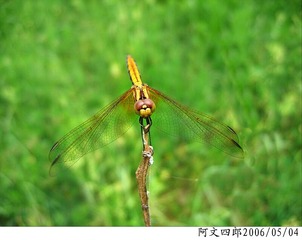 24-IMG_0001