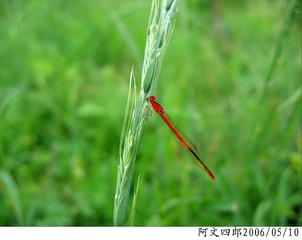 25-IMG_0033
