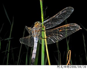 23-IMG_0072