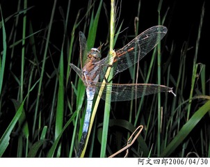 23-IMG_0053