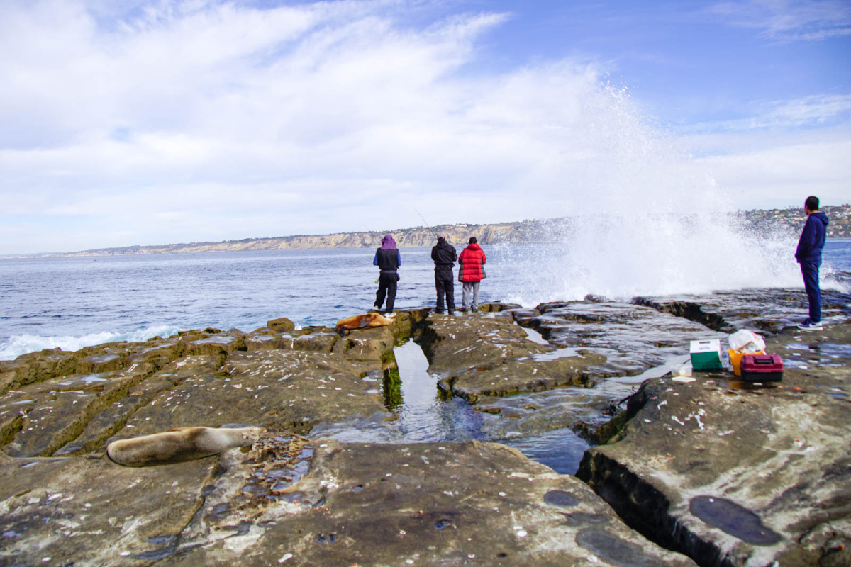 钓者 - 旅行, 索尼, 圣迭戈, a6000, 手动对焦 - 高